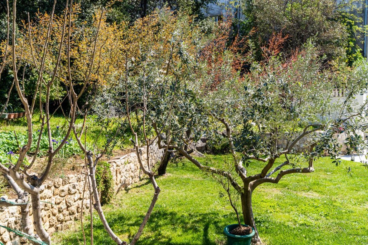 Bokun Guesthouse Dubrovnik Kültér fotó